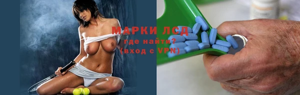 spice Богородицк
