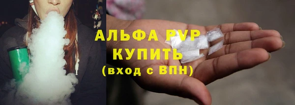 PSILOCYBIN Богданович