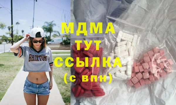 spice Богородицк