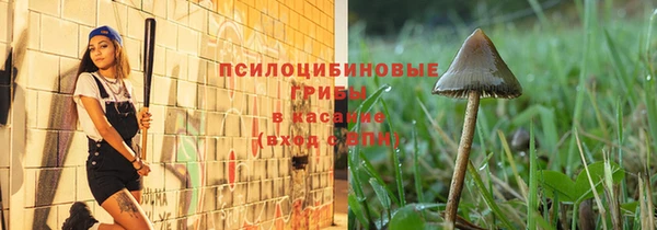 spice Богородицк