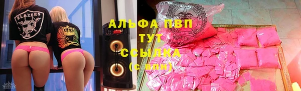PSILOCYBIN Богданович