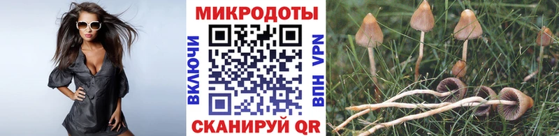 Галлюциногенные грибы MAGIC MUSHROOMS  наркота  OMG как зайти  Городовиковск 